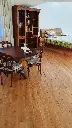 20210125_113409.webp